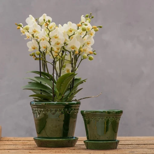 Scalloped Tapered Plant Pot With Saucer - Dark Green -Deals Green4Ever Store pr2000035578