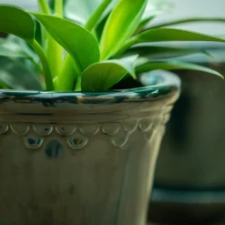 Scalloped Tapered Plant Pot With Saucer - Dark Blue -Deals Green4Ever Store pr2000035580 card4 lg