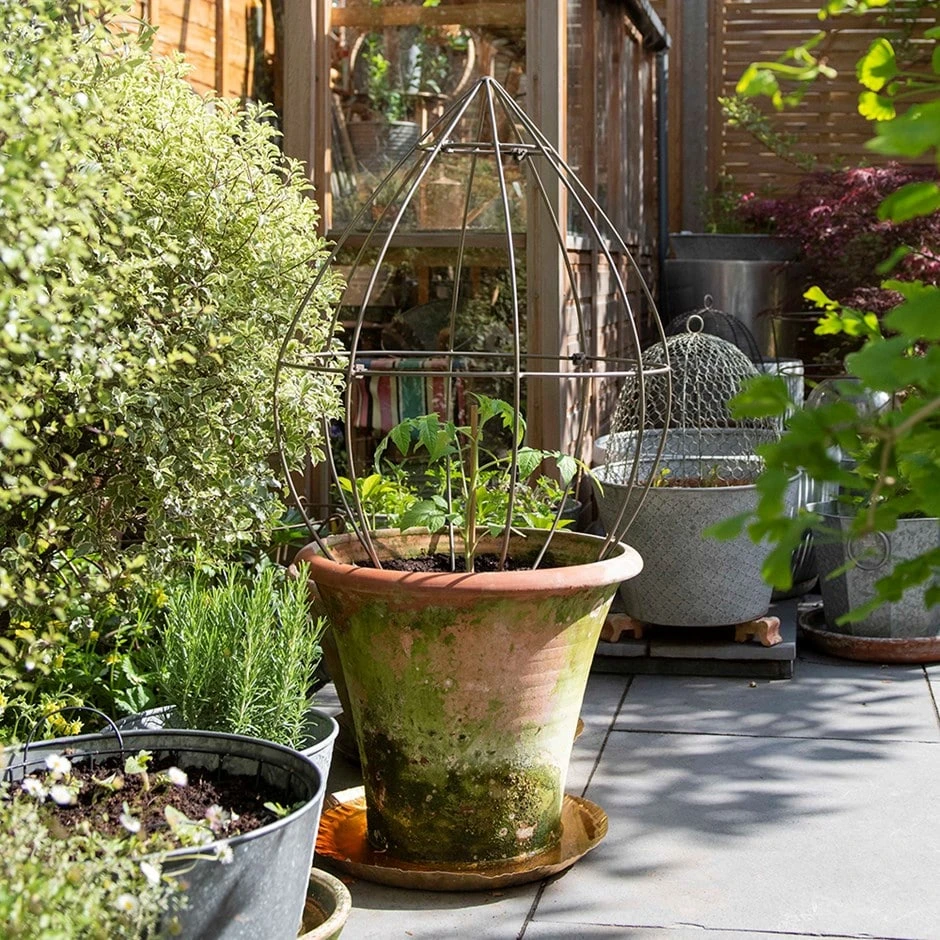 Terracotta Arc Pot & Tear Drop Plant Support 1 Terracotta Arc Pot & Tear Drop Plant Support