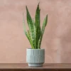 Linear Planter - Stonewash Blue