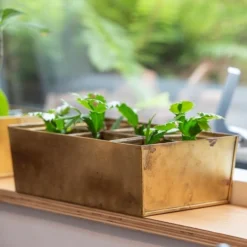 Brass Tray With 6 Brass Grow Pods -Deals Green4Ever Store pr2000037485 card4 lg