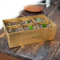 Brass Tray With 6 Brass Grow Pods -Deals Green4Ever Store pr2000037485 card7 lg