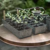 Galvanised Tray With 12 Grow Pods