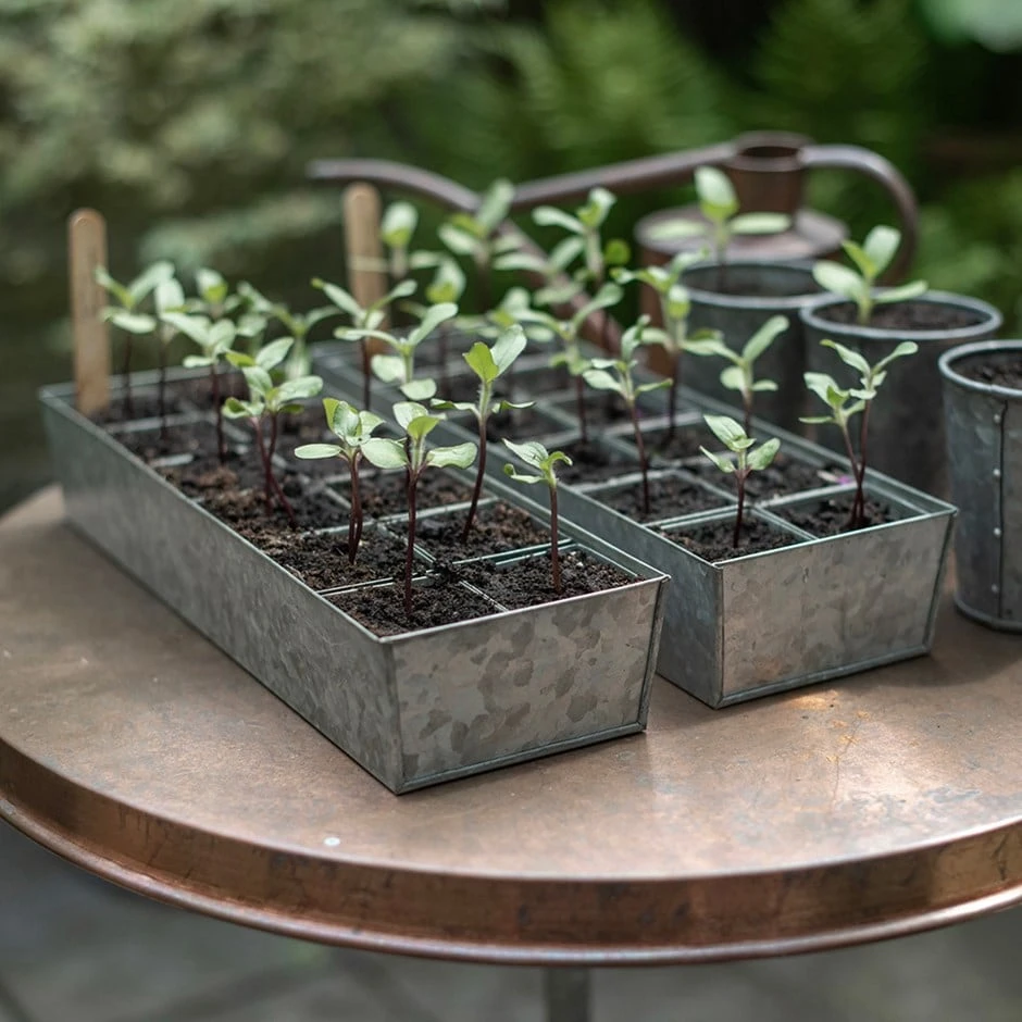 Galvanised Tray With 12 Grow Pods 1 Galvanised Tray With 12 Grow Pods