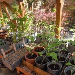 Galvanised Tray With 12 Grow Pods 10 Galvanised Tray With 12 Grow Pods -Deals Green4Ever Store pr2000037486 card6 lg