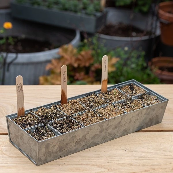 Galvanised Tray With 12 Grow Pods 6 Galvanised Tray With 12 Grow Pods - Image 6