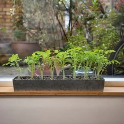 Galvanised Tray With 16 Grow Pods 13 Galvanised Tray With 16 Grow Pods -Deals Green4Ever Store pr2000037487 card6 lg