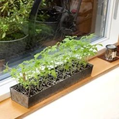 Galvanised Tray With 16 Grow Pods 14 Galvanised Tray With 16 Grow Pods -Deals Green4Ever Store pr2000037487 card7 lg