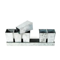 Galvanised Tray With 6 Tall Root Trainer Pods 9 Galvanised Tray With 6 Tall Root Trainer Pods -Deals Green4Ever Store pr2000037489 card4 lg