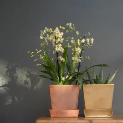 Square Copper Pot And Saucer -Deals Green4Ever Store pr2000037495 card4 lg