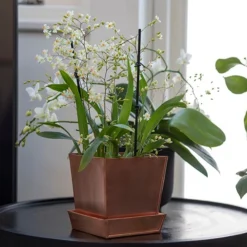 Square Copper Pot And Saucer -Deals Green4Ever Store pr2000037495 card6 lg