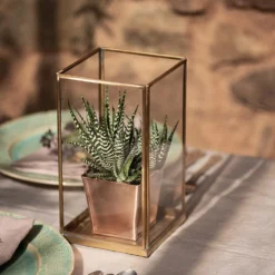 Simple Terrarium / Tealight Holder With Tray Base -Deals Green4Ever Store pr2000037497 card4 lg