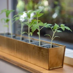Brass Windowsill Tray With 6 Grow Pods -Deals Green4Ever Store pr2000037506 card5 lg