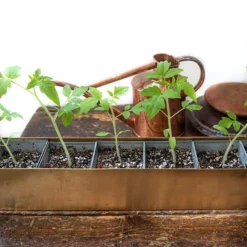 Brass Windowsill Tray With 6 Grow Pods -Deals Green4Ever Store pr2000037506 card6 lg