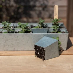 Galvanised Tray With 12 Large Grow Pods -Deals Green4Ever Store pr2000037508 card2 lg