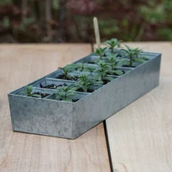 Galvanised Tray With 12 Large Grow Pods -Deals Green4Ever Store pr2000037508 card3 lg