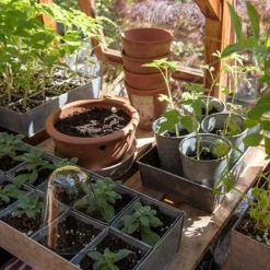 Galvanised Tray With 12 Large Grow Pods -Deals Green4Ever Store pr2000037508 card7 lg