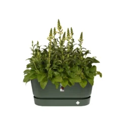 Greenville Terrace Trough On Wheels - Green -Deals Green4Ever Store pr2000038221 card2 lg