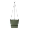 Greenville Hanging Basket Green
