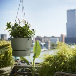 Greenville Hanging Basket Green -Deals Green4Ever Store pr2000038231 card3 lg