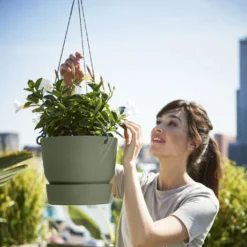 Greenville Hanging Basket Green -Deals Green4Ever Store pr2000038231 card4 lg