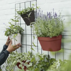 Loft Urban Green Wall Rack Black -Deals Green4Ever Store pr2000038235 card2 lg