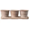 Italian Terracotta Pots Whitewash - Set Of 3 With Tray