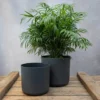 Straight Edged Plant Pot - Black