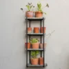 Wall Plant Display