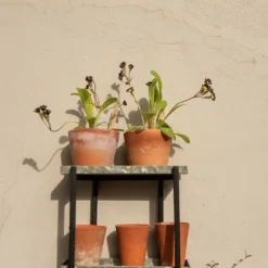 Wall Plant Display -Deals Green4Ever Store pr2000041734 card5 lg