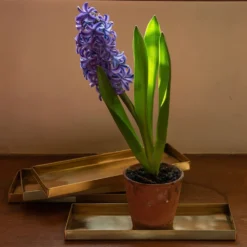 Brass Trays / Shelves - Set Of 4 -Deals Green4Ever Store pr2000041737 card4 lg