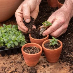 Galvanised Box With Ten Grow Pots -Deals Green4Ever Store pr2000041739 card5 lg