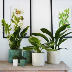 Stoneware Meadow Planter Olive -Deals Green4Ever Store pr2000043077 card2 lg