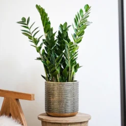 Deals Green4Ever Store 18 Steel Embossed Plant Pot - Gold