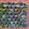 Living Wall Vertical Planting Set - 2.3m2
