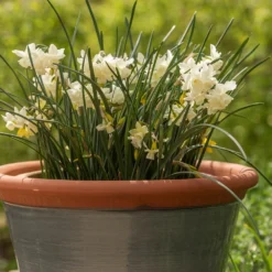 Grey Kitchen Planter -Deals Green4Ever Store pr2000044988 card3 lg