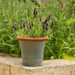 Grey Kitchen Planter -Deals Green4Ever Store pr2000044988 card4 lg