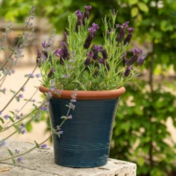 Dark Teal Kitchen Planter -Deals Green4Ever Store pr2000044992 card6 lg