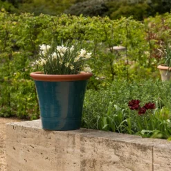 Dark Teal Kitchen Planter -Deals Green4Ever Store pr2000044992 card8 lg