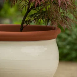 Ivory Bellied Planter -Deals Green4Ever Store pr2000045026 card3 lg