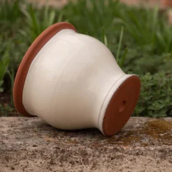 Ivory Bellied Planter -Deals Green4Ever Store pr2000045026 card4 lg