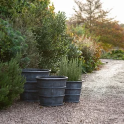 Greystoke Ribbed Planter - Aged Zinc 14 Greystoke Ribbed Planter - Aged Zinc -Deals Green4Ever Store pr2000046295 card5 lg