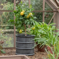 Greystoke Barrel Planter -Deals Green4Ever Store pr2000046297 card7 lg