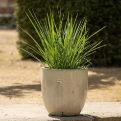 Glazed Ceramic Pot - White -Deals Green4Ever Store pr2000046300 card3 lg