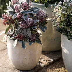 Glazed Ceramic Pot - White -Deals Green4Ever Store pr2000046300 card5 lg