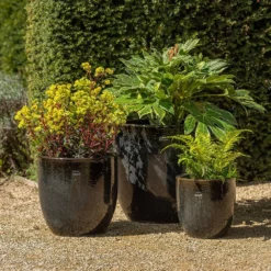 Glazed Ceramic Pot - Misty Black -Deals Green4Ever Store pr2000046301 card3 lg