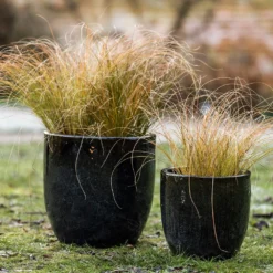 Glazed Ceramic Pot - Misty Black -Deals Green4Ever Store pr2000046301 card5 lg