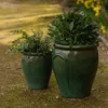 Glazed Terracotta Tulip Pot - Misty Green