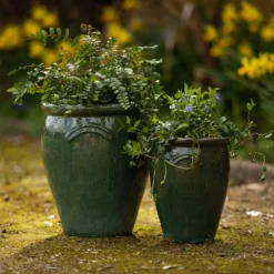 Glazed Terracotta Tulip Pot - Misty Green -Deals Green4Ever Store pr2000046304 card4 lg