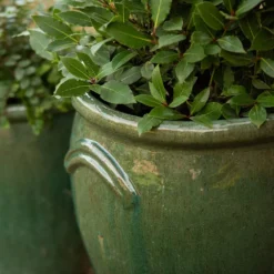 Glazed Terracotta Tulip Pot - Misty Green -Deals Green4Ever Store pr2000046304 card5 lg